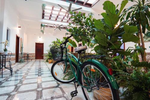 圣多明各Jardin Colonial Boutique Hotel的绿色自行车停在一个植物丛中的房间
