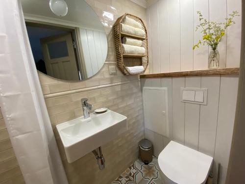 PõõsaspeaPaadikuur Spitham的一间带水槽、卫生间和镜子的浴室