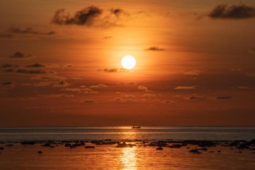 博拉科特Bintan Exotica Resort的海滩上鸟儿的日落