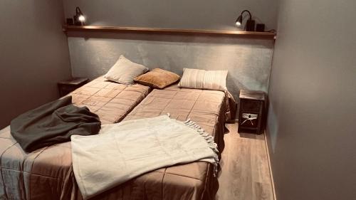 基尔匹斯扎我维Naali的一间卧室配有两张单人床。
