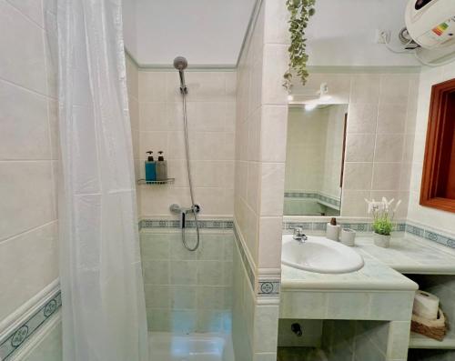卡拉莫若尔Beachfront Apartment in Cala Morell的带淋浴和盥洗盆的浴室