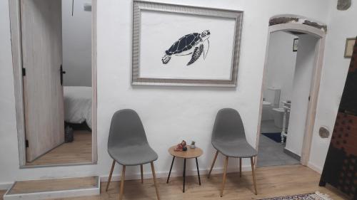 瓜蒂萨Casa Ines的客厅配有两把椅子和海龟的照片