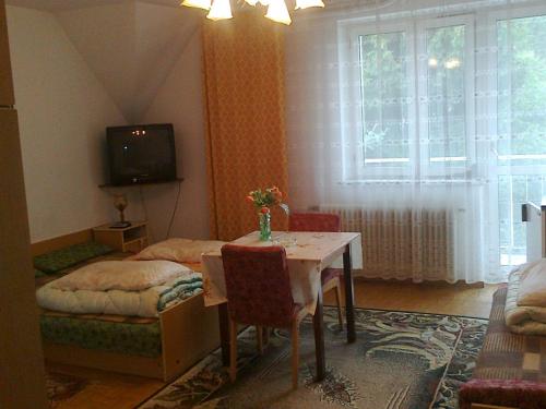 伊沃尼奇-兹德鲁伊Maxim Pokoje Gościnne的客厅配有桌子和电视