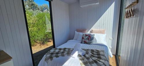 霍尔斯加普Halls Haven Tiny House 2的客房设有两张床和大窗户。