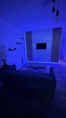 维耶尔宗Appartement avec terrasse的蓝色的客房配有床和沙发