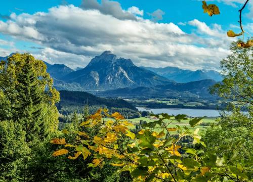 福森伽斯腾翰斯·库普夫酒店的享有山脉和树木繁茂的湖泊美景。