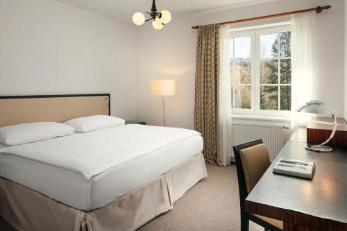 阿德尔什帕赫Hotel Adršpach的一间卧室配有一张床、一张书桌和一个窗户。