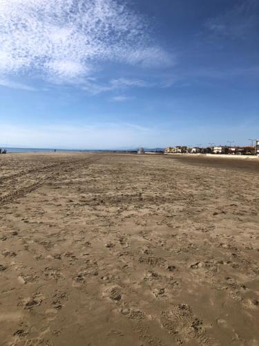纳博讷Mobilhome 4 etoiles的沙滩,沙滩上有足迹