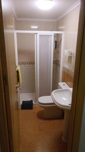 阿兰达德杜洛HOSTAL CEPA DE ORO的带淋浴、卫生间和盥洗盆的浴室