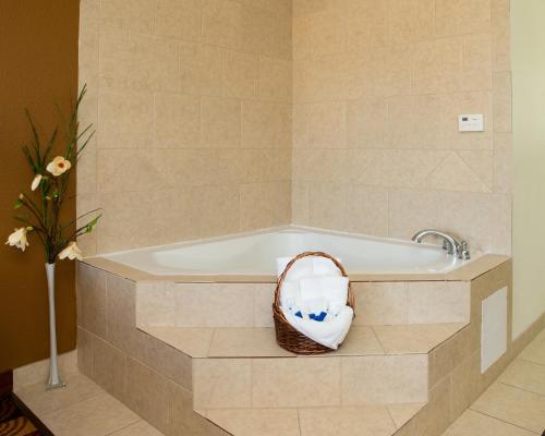 Sands Inn & Suites的一间浴室
