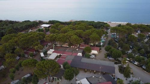 梅坦蓬托Villaggio Mondial Camping的海洋旁公园的顶部景色