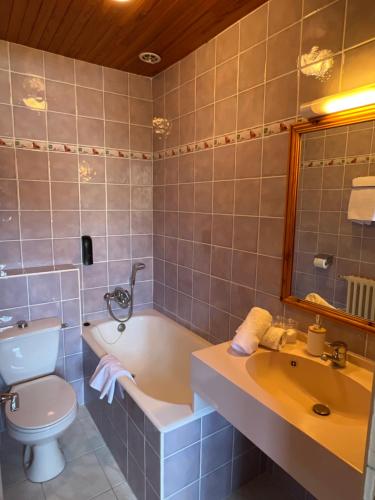 皮伊圣万桑Hôtel Restaurant La Pendine的带浴缸、卫生间和盥洗盆的浴室