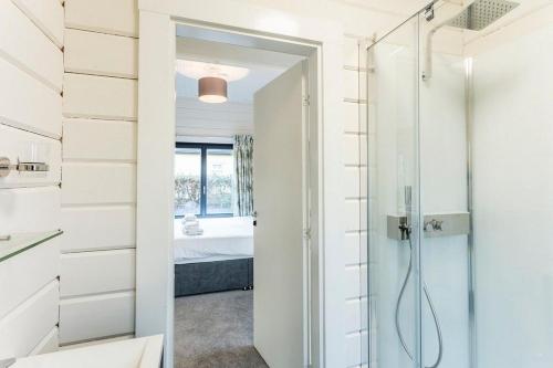 罗伊登Roydon Marina - Lodge 4 - Hot Tub的带淋浴的浴室和玻璃门