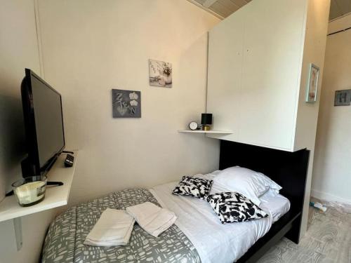 沙马列尔Studio Equipée * Générale Gouraud* Chamalieres的一间卧室配有带枕头的床铺和电视。