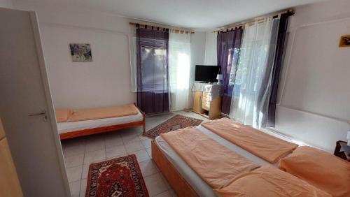 包道乔尼托毛伊Badacsonyi családi privát házak的一间卧室配有两张床和电视。