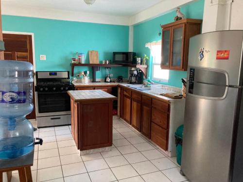 库尔克岛JAGUAR MORNING STAR的厨房配有不锈钢冰箱和木制橱柜