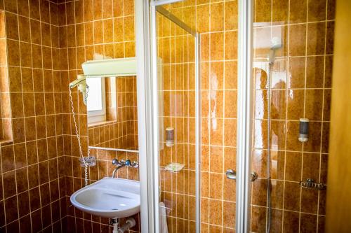 克恩斯Hotel Alpenhof的带淋浴、卫生间和盥洗盆的浴室