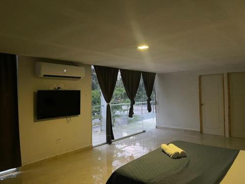 新戈尔戈纳Gorgona Beach House的一间带床、电视和窗户的客厅