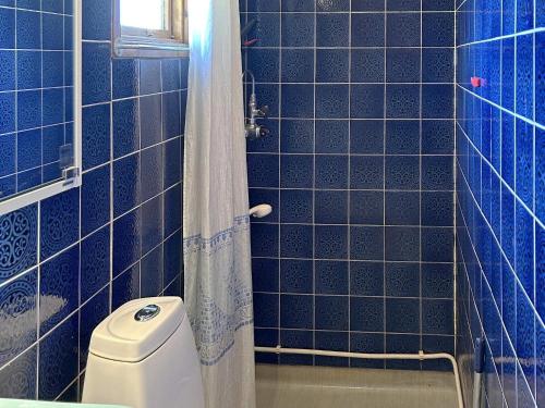 MalmköpingHoliday home MALMKÖPING II的蓝色瓷砖浴室设有卫生间和淋浴。