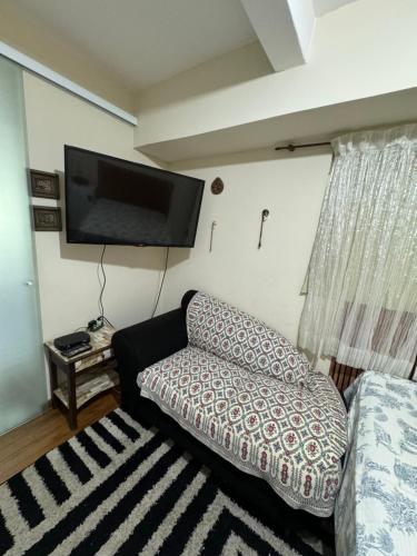 圣保罗Hostel Tia Ana的带沙发和平面电视的客厅