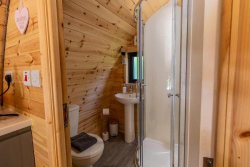 科克Mount Hillary Holiday Pods的带淋浴、卫生间和盥洗盆的浴室