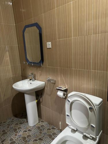 BechemJOSBA HOTEL的一间带水槽、卫生间和镜子的浴室