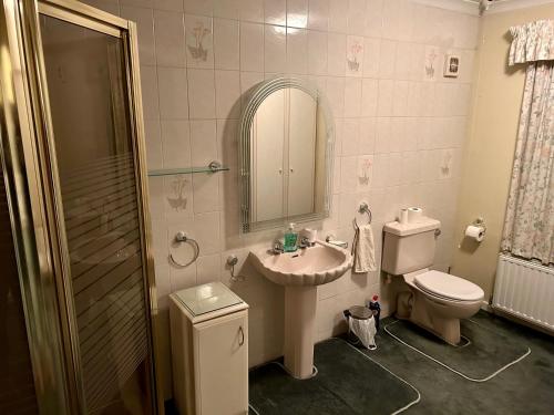 FeockCurlews的一间带水槽、卫生间和镜子的浴室