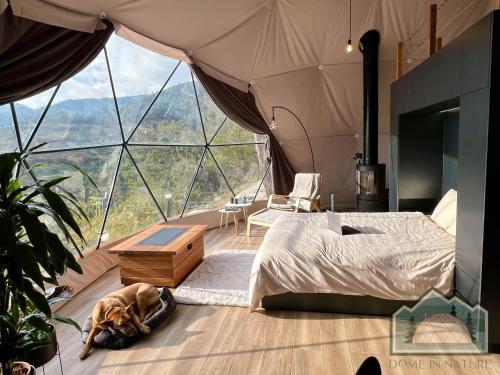 拉纳卡Dome in Nature的卧室里,有一只狗躺在地上的帐篷里