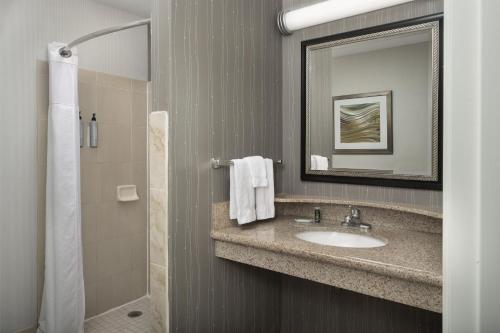 奇科奇科万怡酒店的一间带水槽和淋浴的浴室