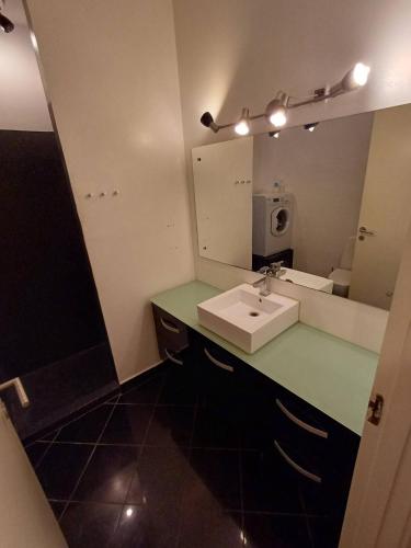 兰讷斯Stylish Apartment On Pedestrian Street Randers的一间带水槽和镜子的浴室