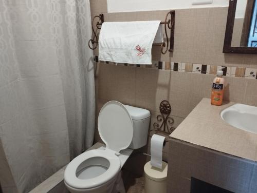 GuanoSama Jauka的一间带卫生间和水槽的小浴室
