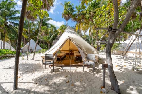 蓬·艾伦Hotel Cielo y Selva的海滩上的帐篷,配有椅子和棕榈树