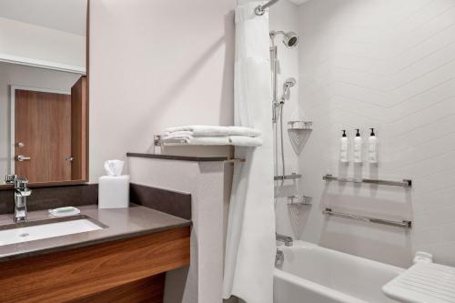 开普吉拉多Fairfield by Marriott Inn & Suites Cape Girardeau的带浴缸、水槽和淋浴的浴室