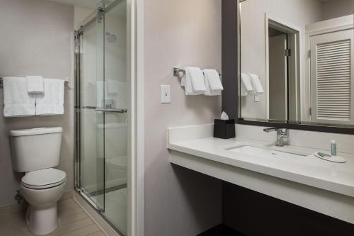 凤凰城Courtyard by Marriott Phoenix North的一间带卫生间、水槽和镜子的浴室