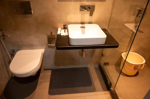 加尔各答The Opus Kolkata - A Boutique Hotel的一间带水槽和卫生间的浴室