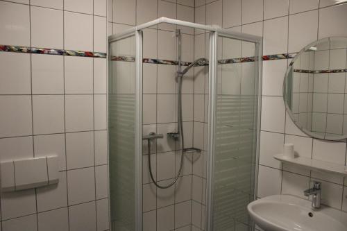 陶贝尔比绍夫斯海姆Landhotel Garni am Mühlenwörth的带淋浴的浴室和玻璃门