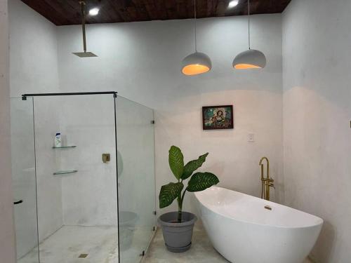 拉塞瓦CASA LUNA ¡Piscina y Playa!的带浴缸和盆栽的浴室