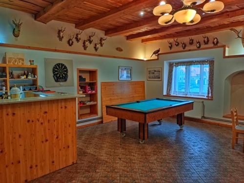 ČechticeStatek Palčice的一间位于客房中间的厨房,配有一张台球桌