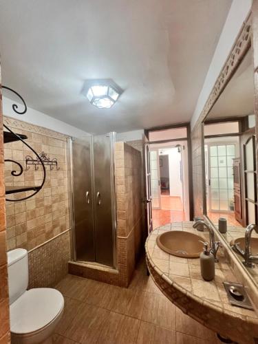 洛斯·亚诺斯·德·阿里丹Aceró Home的一间带水槽、卫生间和淋浴的浴室