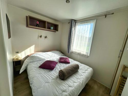 蒙斯特Grand Mobile-Home 6 Places climatisé的一间卧室配有一张带紫色枕头的床和窗户。