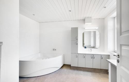 诺德堡Amazing Home In Nordborg With Kitchen的白色的浴室设有大浴缸和水槽