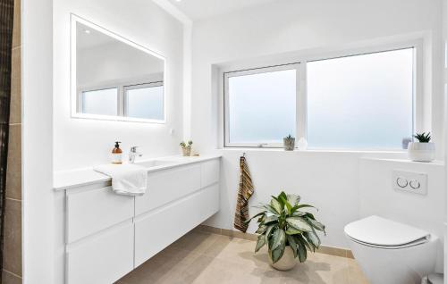 罗斯基勒Amazing Home In Roskilde With Kitchen的白色的浴室设有卫生间和窗户。