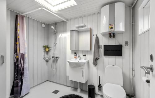 JægersprisNice Home In Jgerspris With Kitchen的浴室配有白色卫生间和盥洗盆。