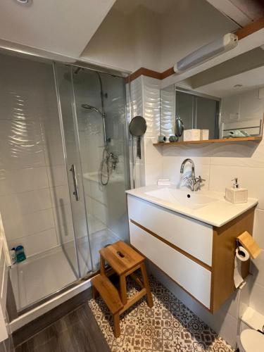 迪耶普LES BAIGNEUSES的一间带水槽和淋浴的浴室