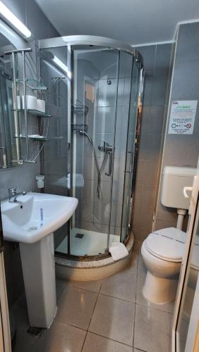 康斯坦察阿里昂酒店的带淋浴、卫生间和盥洗盆的浴室