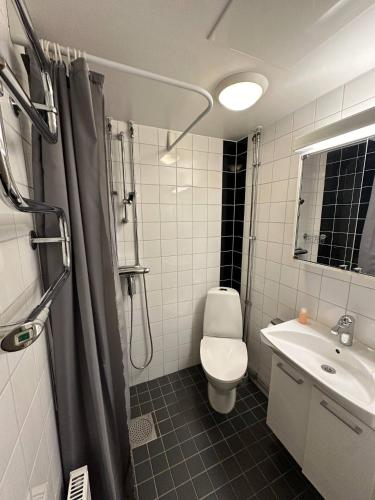 哥德堡Beautiful And Comfortable Apartment的一间带卫生间和水槽的浴室