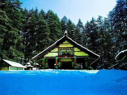马恩迪Stargazing Glass Lodge Himachal Pradesh Thachi的一座有树木的雪地建筑