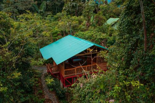 福尔图纳La Tigra Rainforest Lodge的森林中带蓝色屋顶的树屋