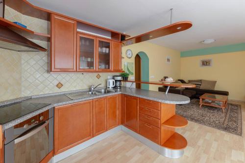 Spodnje GorjeApartments Žnidar的一间带木制橱柜的厨房和一间客厅