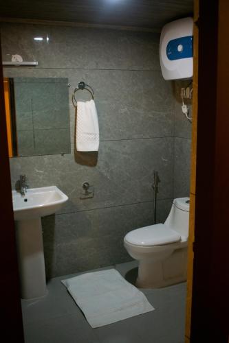 甘托克The Grand ARK的一间带卫生间和水槽的浴室